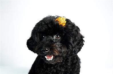 中手游将布局体育电竞 自研跨端游戏《代号：篮球3v3》